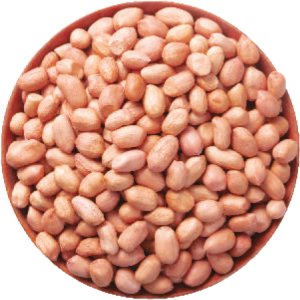 Java Peanuts