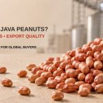 What Are Java Peanuts