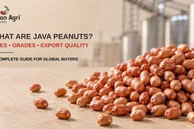 What Are Java Peanuts? Uses, Benefits, Grades & Export Quality Explained