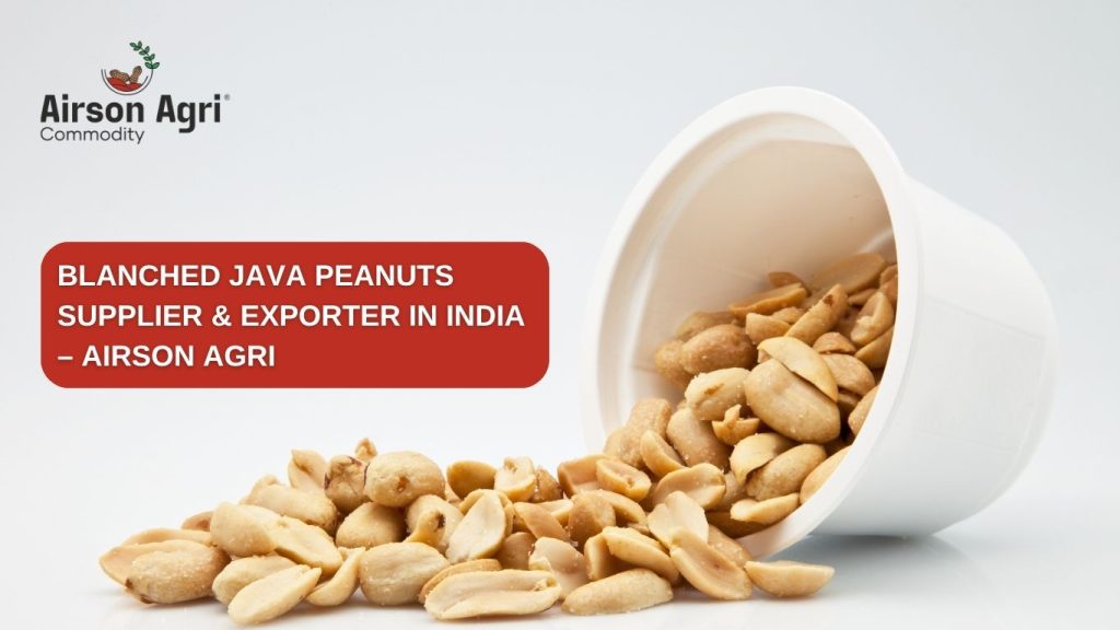 Blanched Java Peanuts Supplier & Exporter in India