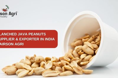 Blanched Java Peanuts Supplier & Exporter in India – Airson Agri