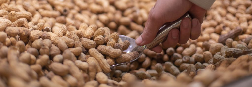 Peanut Manufacturers and Suppliers in India