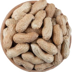 Peanuts in Shell Java